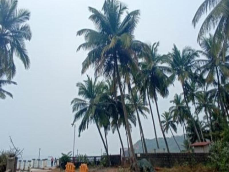 Leon Hide Out Guest House Vasco Da Gama Ngoại thất bức ảnh